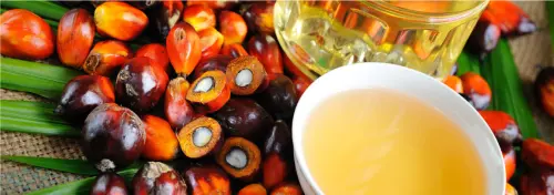27-30 Maret 2023,Tunas Baru Lampung Emisi Obligasi Rp500 Miliar