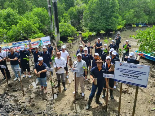Dukung Implementasi ESG, BRI Danareksa Sekuritas Tanam 500 Pohon Mangrove