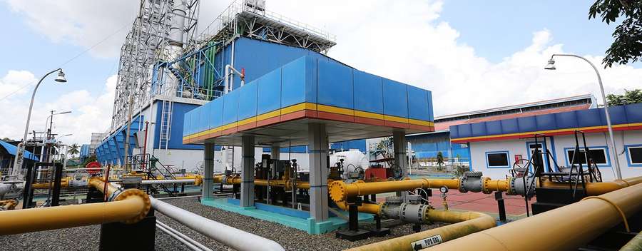 RAJA Masuk Bisnis EBT, Siap Akuisisi Pembangkit Listrik Tenaga Air dan Biomassa