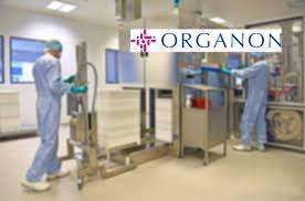 Organon Pharma Bagi Dividen Interim Rp42.000  per Saham, Catat Tanggalnya