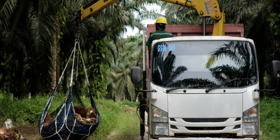 Pendapatan Tumbuh 5,16%, Laba Astra Agro Lestari Tembus Rp1,15 Triliun pada 2024