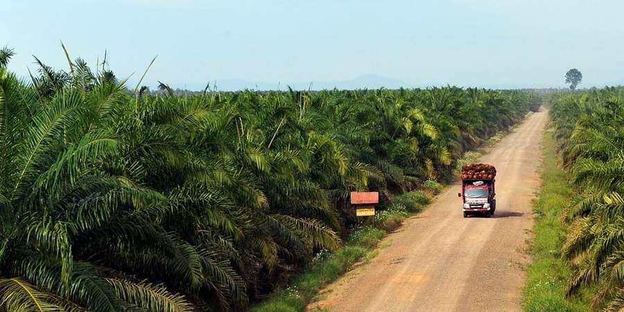 Pendapatan dan Laba Astra Agro (AALI) Kompak Tumbuh di Atas 25% pada 2025