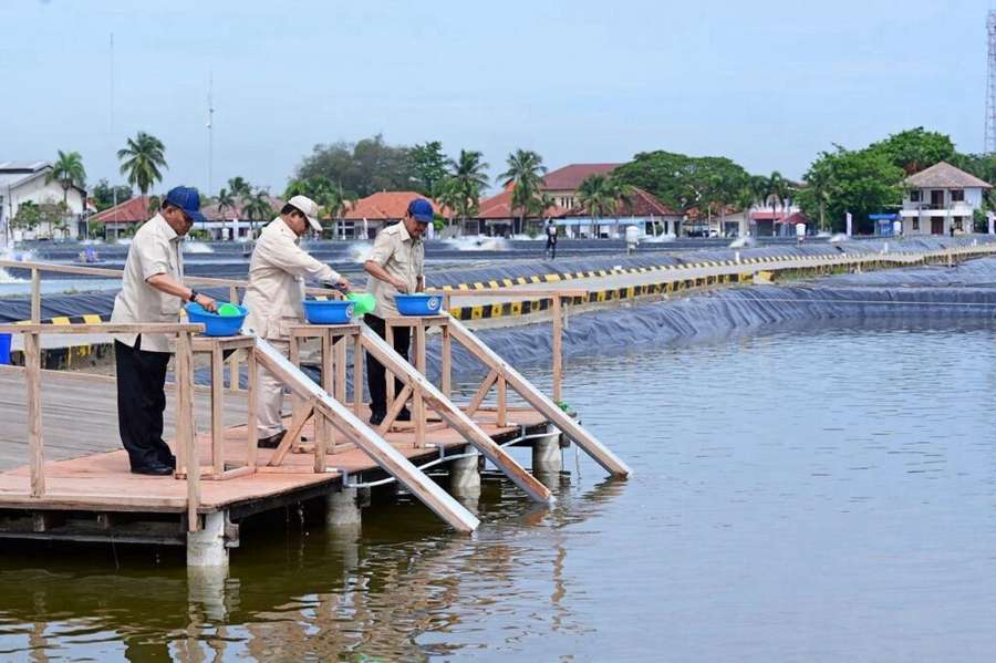 Dorong Swasembada Pangan dan Ekonomi Biru, Presiden Prabowo Tinjau Kawasan BLUPPB Karawang