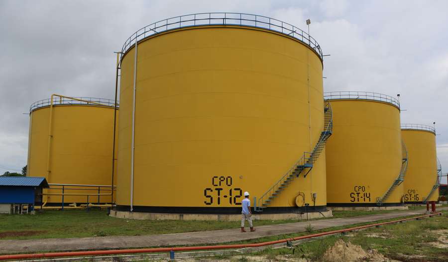 Tumbuh 80%, DSNG Cetak Laba Rp915 Miliar di Semester I 2025, Segmen Kelapa Sawit Jadi Penopang Utama