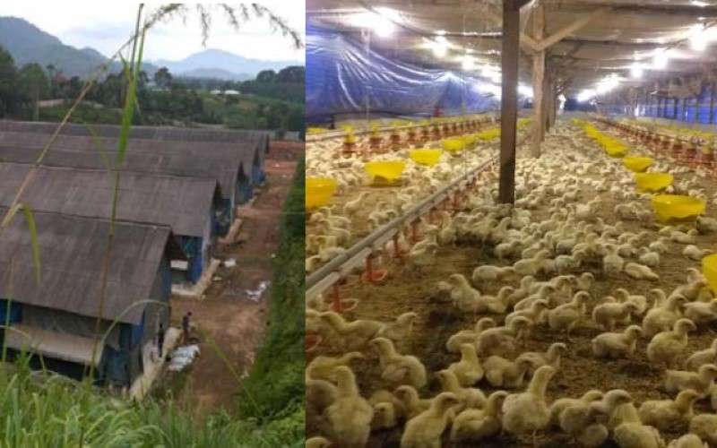 Sujito Ngadiman Jual 11,9 Juta Saham Dewi Shri (DEWI) Senilai Rp1,42 Miliar, Harga Diskon