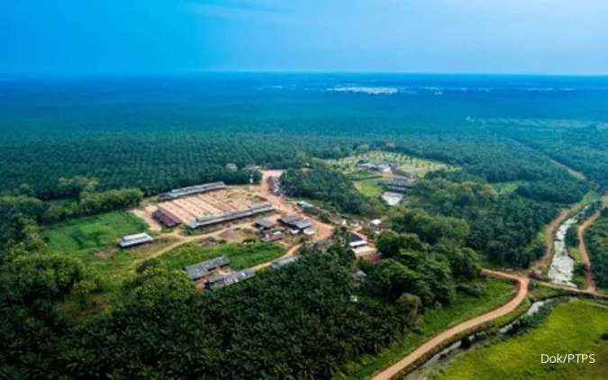 Pulau Subur (PTPS) Telah Serap 70,6% Dana IPO, Sisa Rp25 Miliar Disimpan di BNI