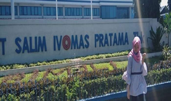 SIMP Kantongi Laba Rp874 Miliar di Semester I 2026, Penjualan CPO Melonjak 15%