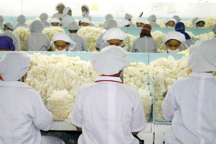 Pengendali SURI Tambah Investasi, Kepemilikan Saham Naik Jadi 85,50%