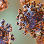 3D microorganisms